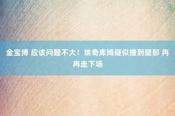 金宝博 应该问题不大！埃奇库姆疑似撞到腿部 冉冉走下场