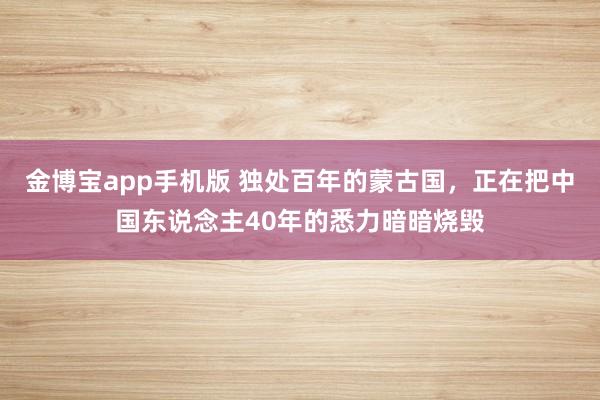 金博宝app手机版 独处百年的蒙古国，正在把中国东说念主40年的悉力暗暗烧毁