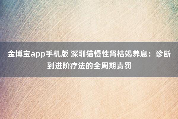 金博宝app手机版 深圳猫慢性肾枯竭养息：诊断到进阶疗法的全周期责罚