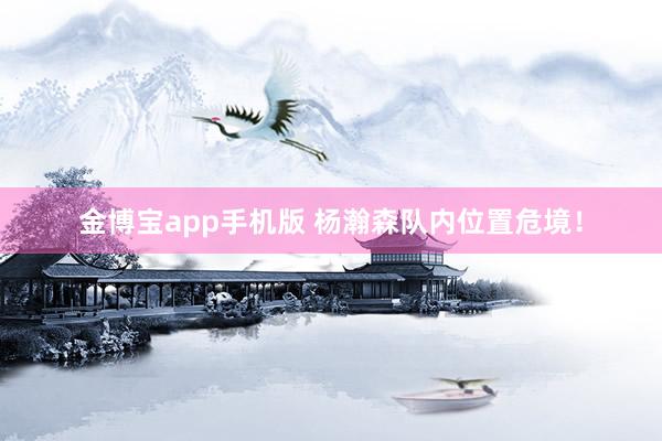 金博宝app手机版 杨瀚森队内位置危境！