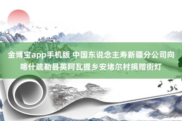 金博宝app手机版 中国东说念主寿新疆分公司向喀什疏勒县英阿瓦提乡安堵尔村捐赠街灯