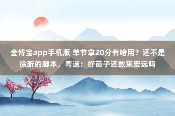 金博宝app手机版 单节拿20分有啥用？还不是徐昕的脚本，粤迷：好苗子还敢来宏远吗