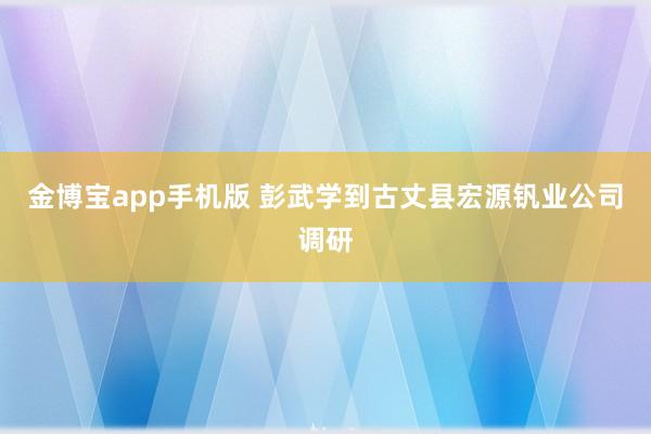金博宝app手机版 彭武学到古丈县宏源钒业公司调研