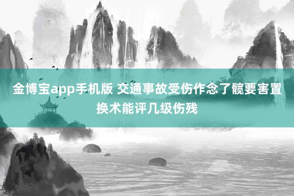 金博宝app手机版 交通事故受伤作念了髋要害置换术能评几级伤残