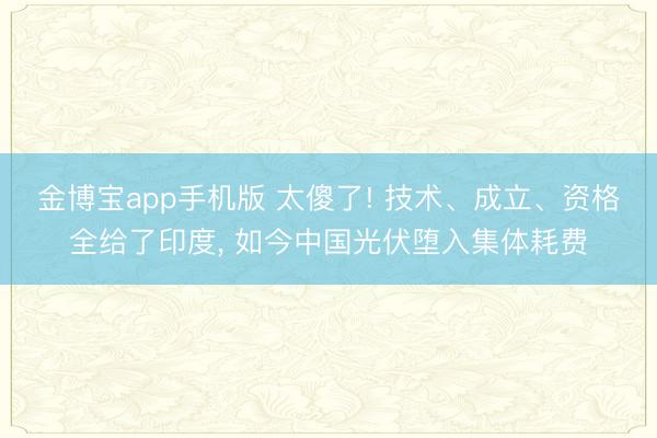 金博宝app手机版 太傻了! 技术、成立、资格全给了印度， 如今中国光伏堕入集体耗费