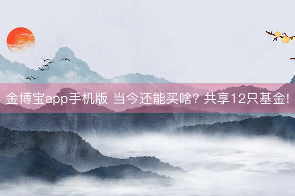 金博宝app手机版 当今还能买啥? 共享12只基金!