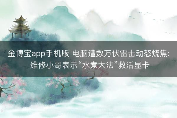金博宝app手机版 电脑遭数万伏雷击动怒烧焦: 维修小哥表示“水煮大法”救活显卡