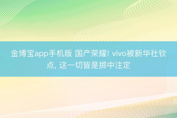 金博宝app手机版 国产荣耀! vivo被新华社钦点， 这一切皆是掷中注定