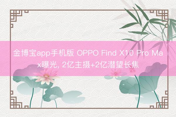 金博宝app手机版 OPPO Find X10 Pro Max曝光， 2亿主摄+2亿潜望长焦