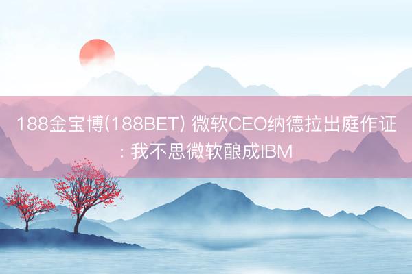 188金宝博(188BET) 微软CEO纳德拉出庭作证: 我不思微软酿成IBM