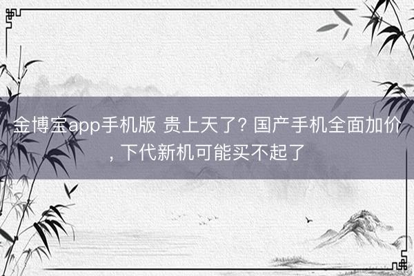 金博宝app手机版 贵上天了? 国产手机全面加价， 下代新机可能买不起了
