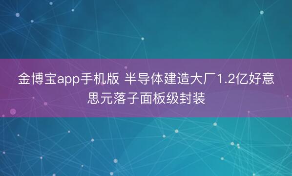 金博宝app手机版 半导体建造大厂1.2亿好意思元落子面板级封装