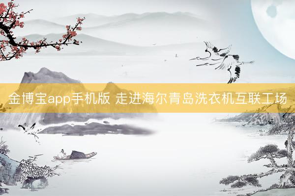 金博宝app手机版 走进海尔青岛洗衣机互联工场