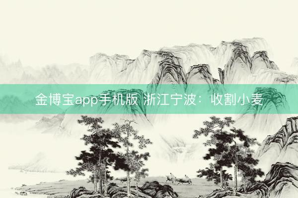 金博宝app手机版 浙江宁波：收割小麦