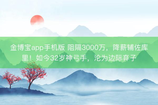 金博宝app手机版 阻隔3000万，降薪辅佐库里！如今32岁神弓手，沦为边际弃子