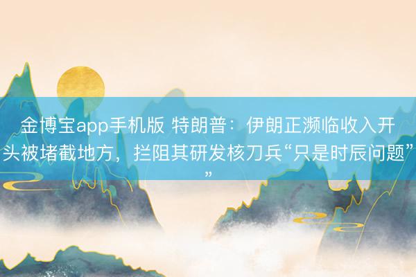 金博宝app手机版 特朗普：伊朗正濒临收入开头被堵截地方，拦阻其研发核刀兵“只是时辰问题”