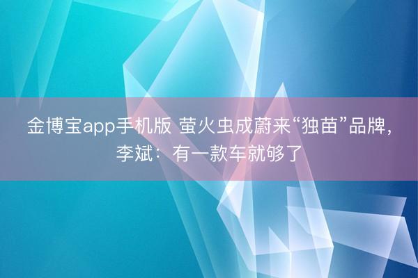 金博宝app手机版 萤火虫成蔚来“独苗”品牌，李斌：有一款车就够了