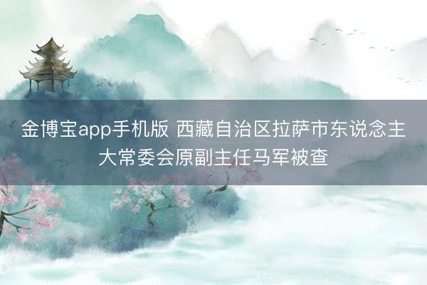 金博宝app手机版 西藏自治区拉萨市东说念主大常委会原副主任马军被查