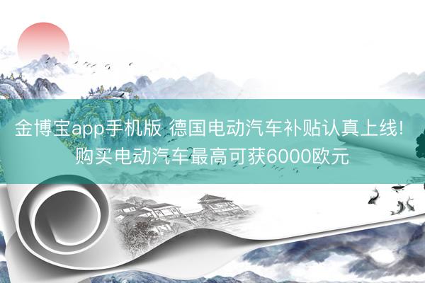 金博宝app手机版 德国电动汽车补贴认真上线! 购买电动汽车最高可获6000欧元