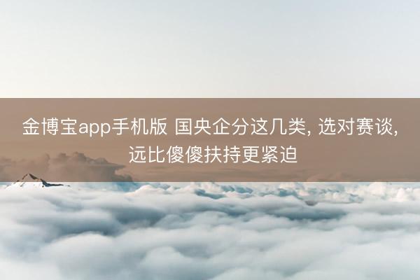 金博宝app手机版 国央企分这几类， 选对赛谈， 远比傻傻扶持更紧迫