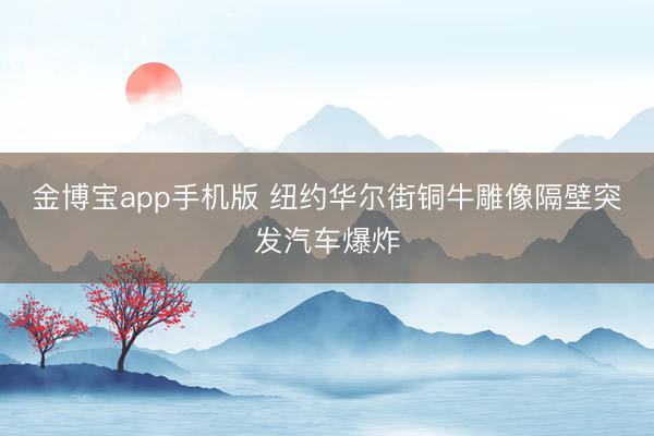 金博宝app手机版 纽约华尔街铜牛雕像隔壁突发汽车爆炸