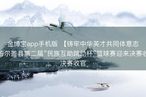 金博宝app手机版 【铸牢中华英才共同体意志】若尔盖县第二届“民族互助跳动杯”篮球赛迎来决赛收官