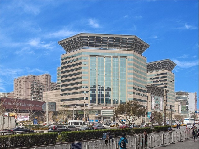 浙江基因毒研究服务